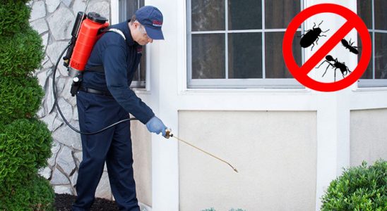 Kırıkkale Akrep İlaçlama böcek ilaçlama ve haşere kontrolü — ilaclama-tr.com